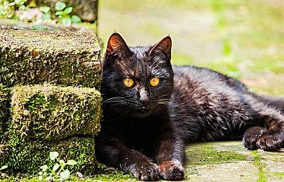 《七龙珠 电光炸裂！ZERO》发售24小时 销量超300万套